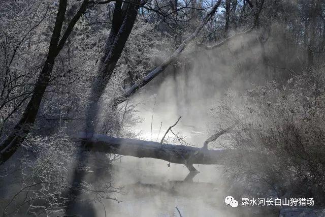 电影《教父》讲的是什么？游戏画面