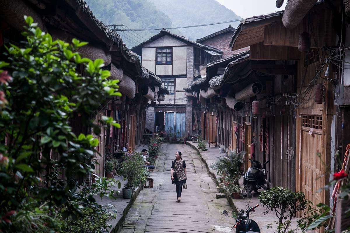 救援菠萝舞者
